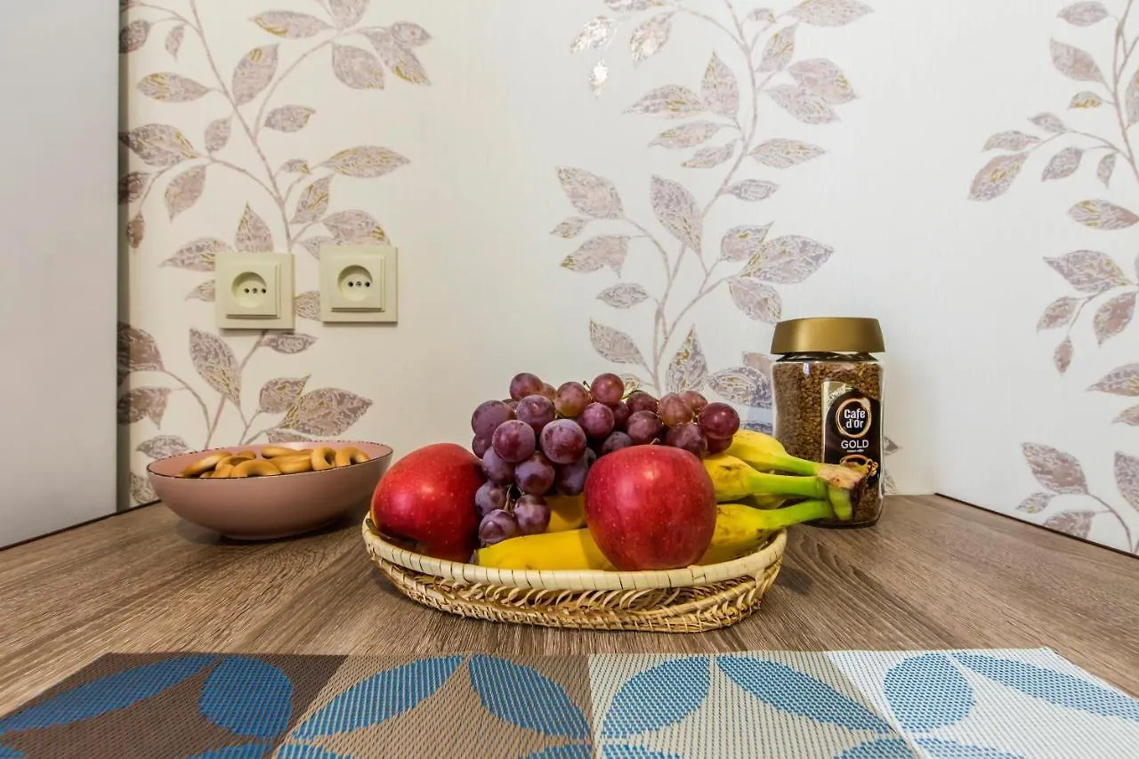 Apartment Near Zhitomirskaya Metro Station, Nikolay Krasnova Street 基輔 乌克兰